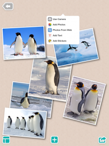 PicCollage in Action