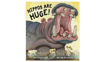 hippos are huge